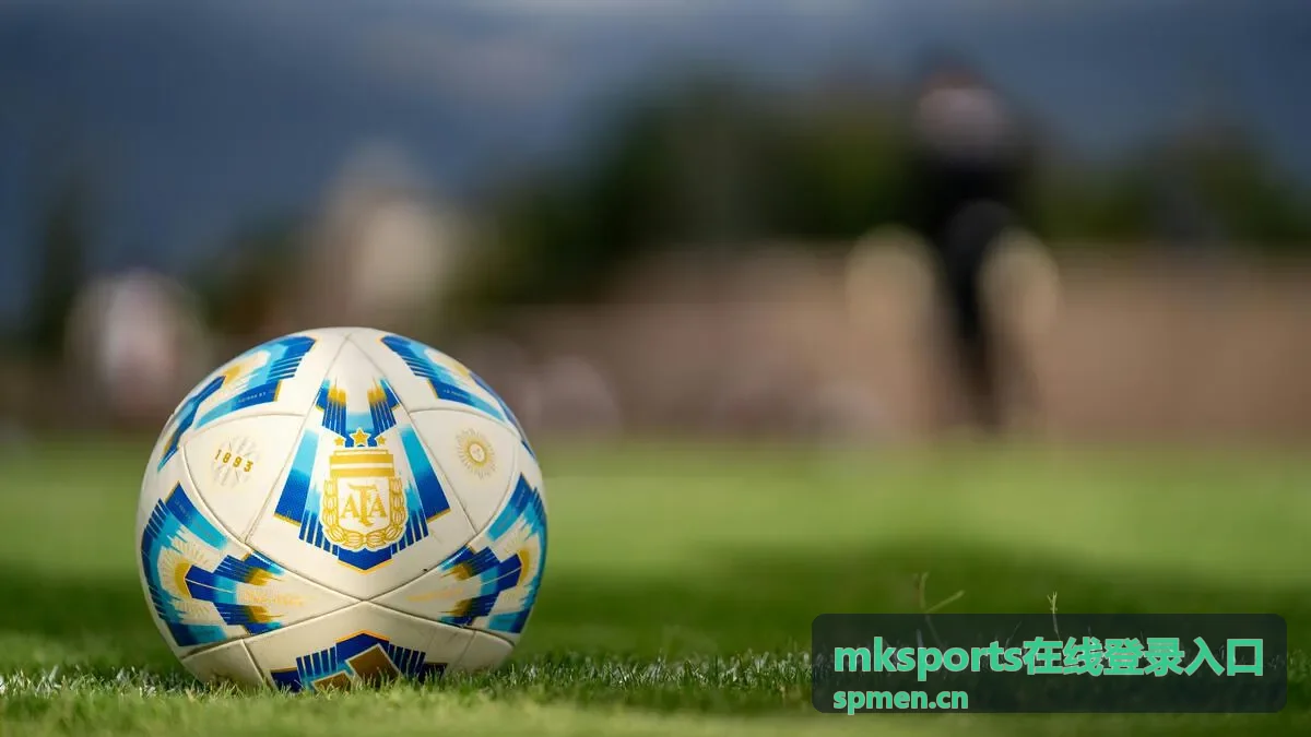 mksports在线登录入口异常排查封面图